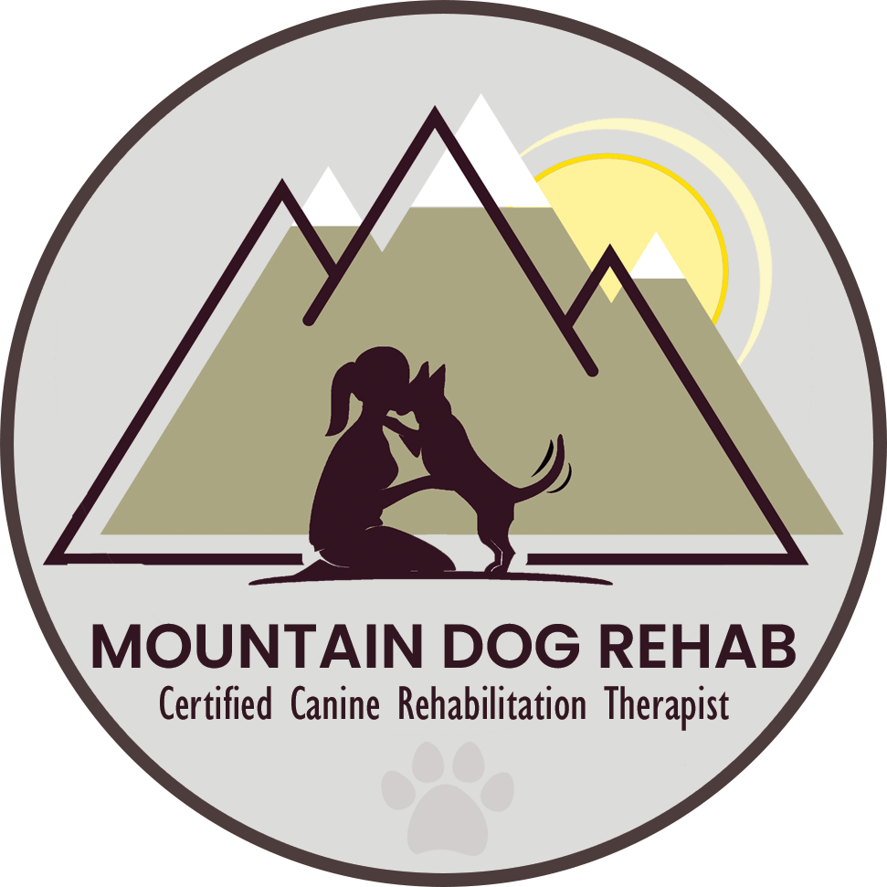 洋書 Canine Rehabilitation & Physical Therapy Canine Sports Medicine and Rehabilitation: 9781394251391